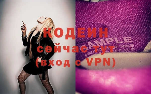 ешки Алексин