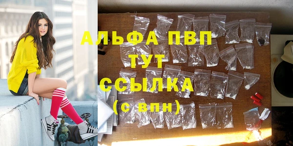 ешки Алексин