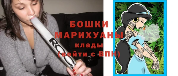 ешки Алексин